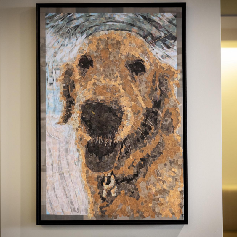 Dog Image
